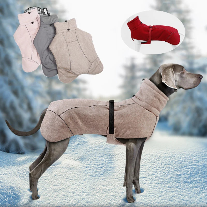 Eleganter Wintermantel für große Hunde – Stil und Komfort für die kalte Jahreszeit - The Masked Frenchie