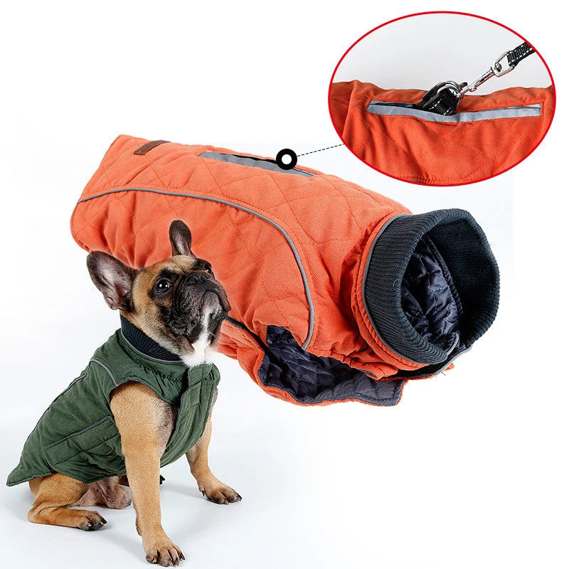 Hochwertige Hundekleidung - warmer Hundemantel, gesteppt Retrostil - The Masked Frenchie
