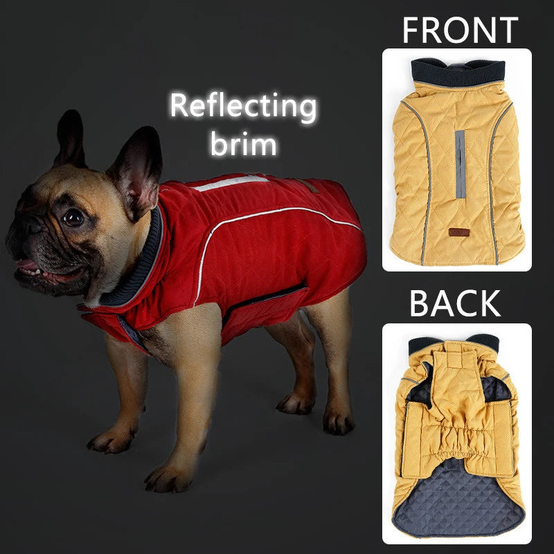 Hochwertige Hundekleidung - warmer Hundemantel, gesteppt Retrostil - The Masked Frenchie