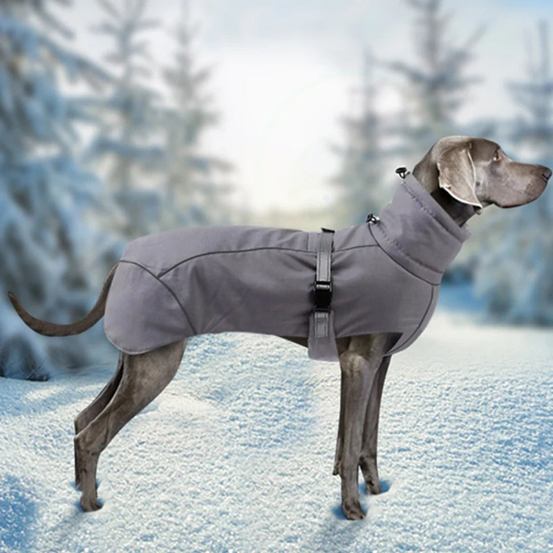 Eleganter Wintermantel für große Hunde – Stil und Komfort für die kalte Jahreszeit - The Masked Frenchie