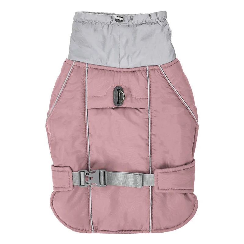 Winterjacke mit Taillengürtel für Hunde – Funktionalität trifft auf Stil - The Masked Frenchie