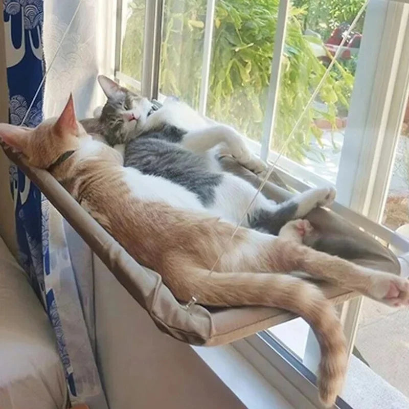 Hängendes Katzenbett – Bequeme Katzen-Hängematte für Fenster, Belastbar bis 20 kg - The Masked Frenchie