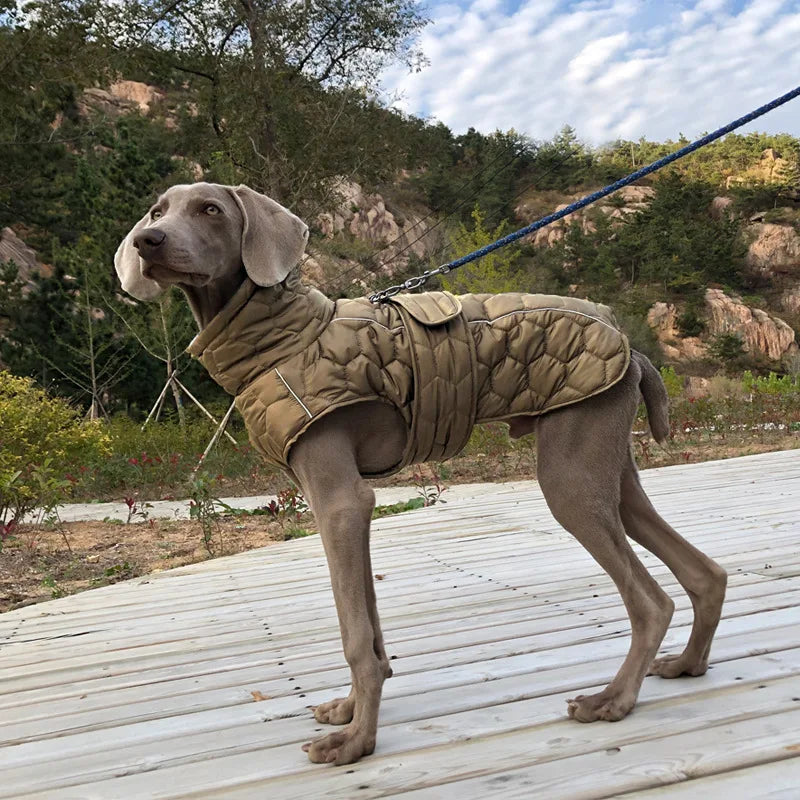 Winterjacke für Hunde – Winddicht, warm und wetterfest - The Masked Frenchie