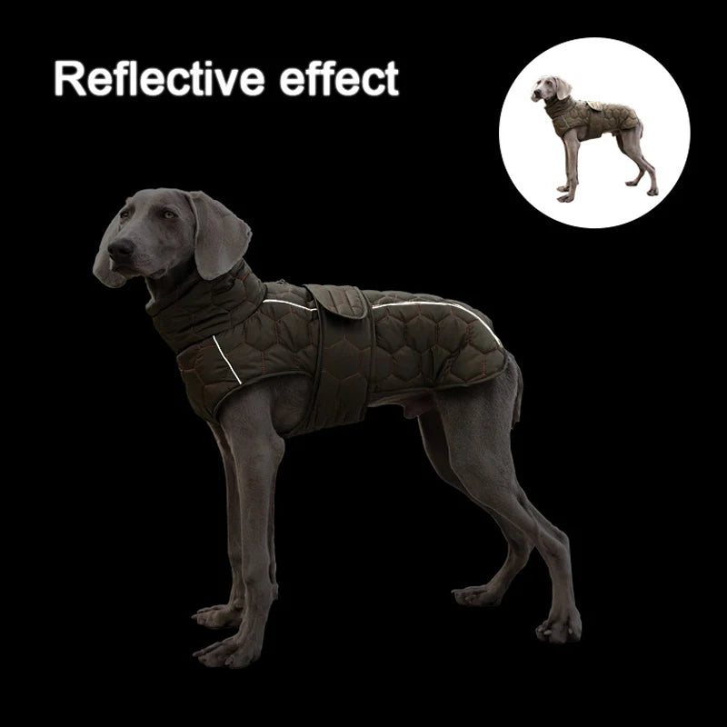 Winterjacke für Hunde – Winddicht, warm und wetterfest - The Masked Frenchie