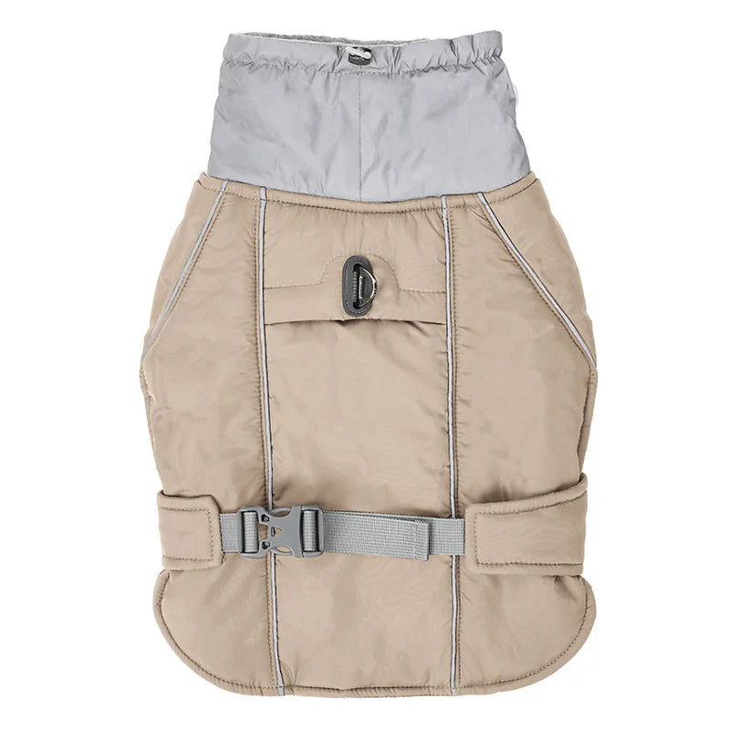 Winterjacke mit Taillengürtel für Hunde – Funktionalität trifft auf Stil - The Masked Frenchie