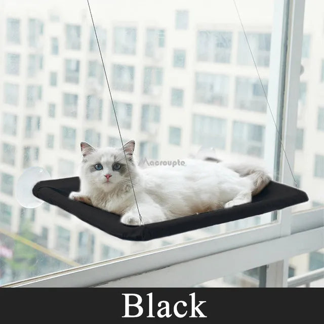 Hängendes Katzenbett – Bequeme Katzen-Hängematte für Fenster, Belastbar bis 20 kg - The Masked Frenchie