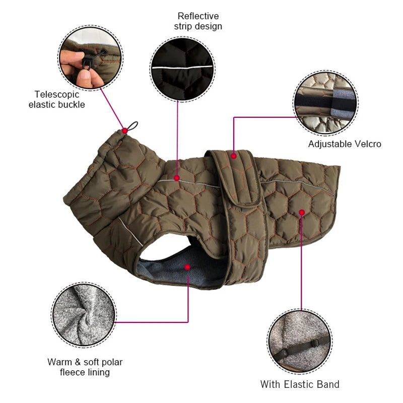 Winterjacke für Hunde – Winddicht, warm und wetterfest - The Masked Frenchie