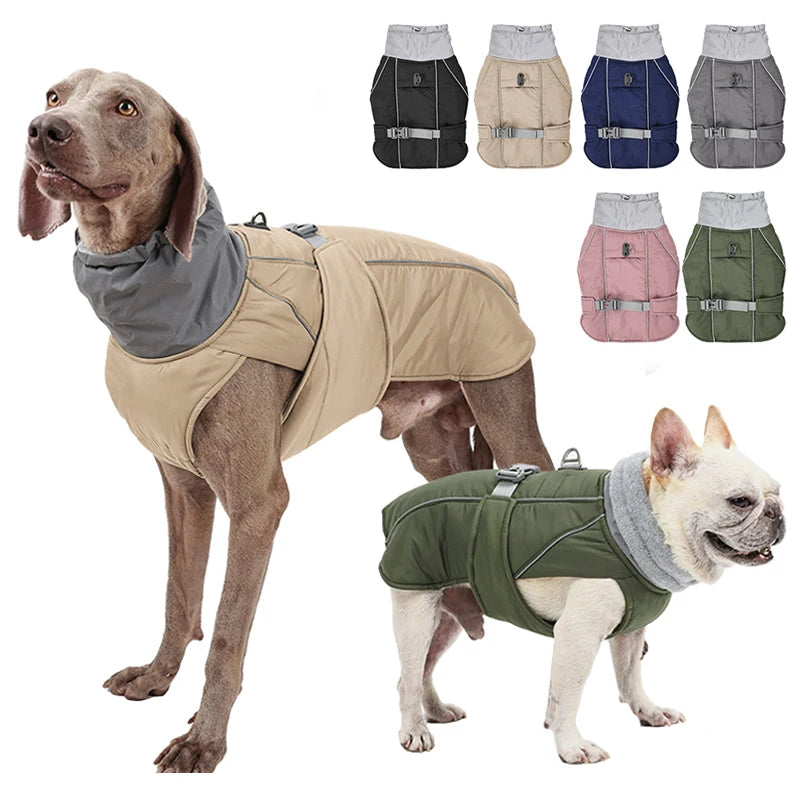 Winterjacke mit Taillengürtel für Hunde – Funktionalität trifft auf Stil - The Masked Frenchie