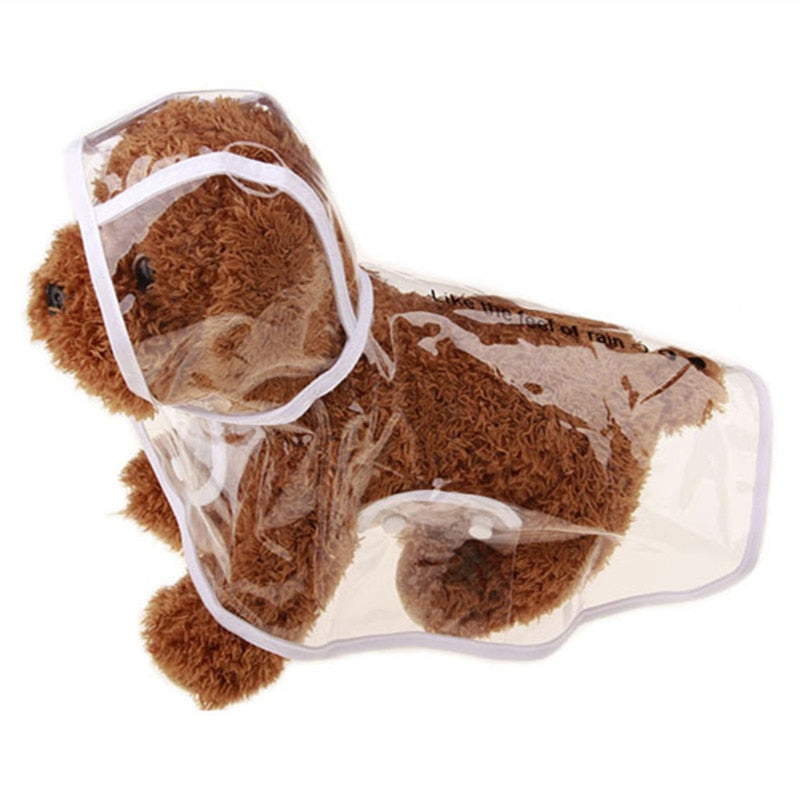 Durchsichtiger Hunde Regenponcho mit weißem Rand - The Masked Frenchie