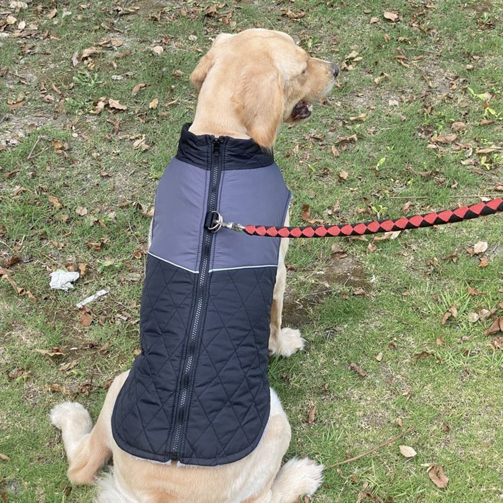 Wasserdichte gefütterte Winterjacke - The Masked Frenchie