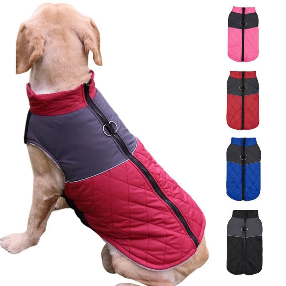 Wasserdichte gefütterte Winterjacke - The Masked Frenchie
