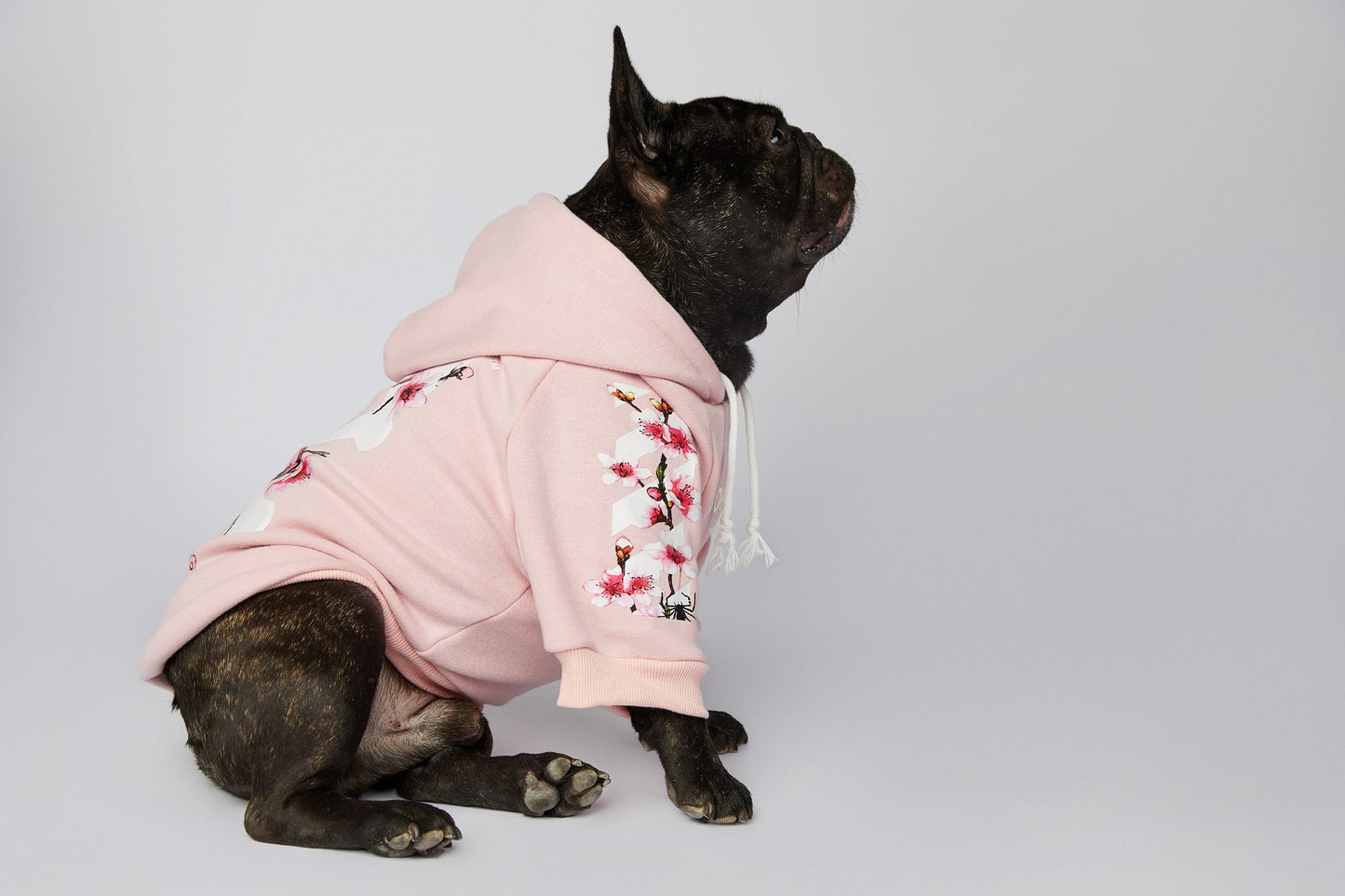 Warmer Luxus Hoodie - Sakura Design - The Masked Frenchie