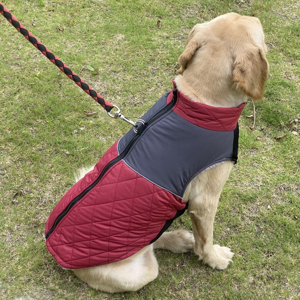 Wasserdichte gefütterte Winterjacke - The Masked Frenchie