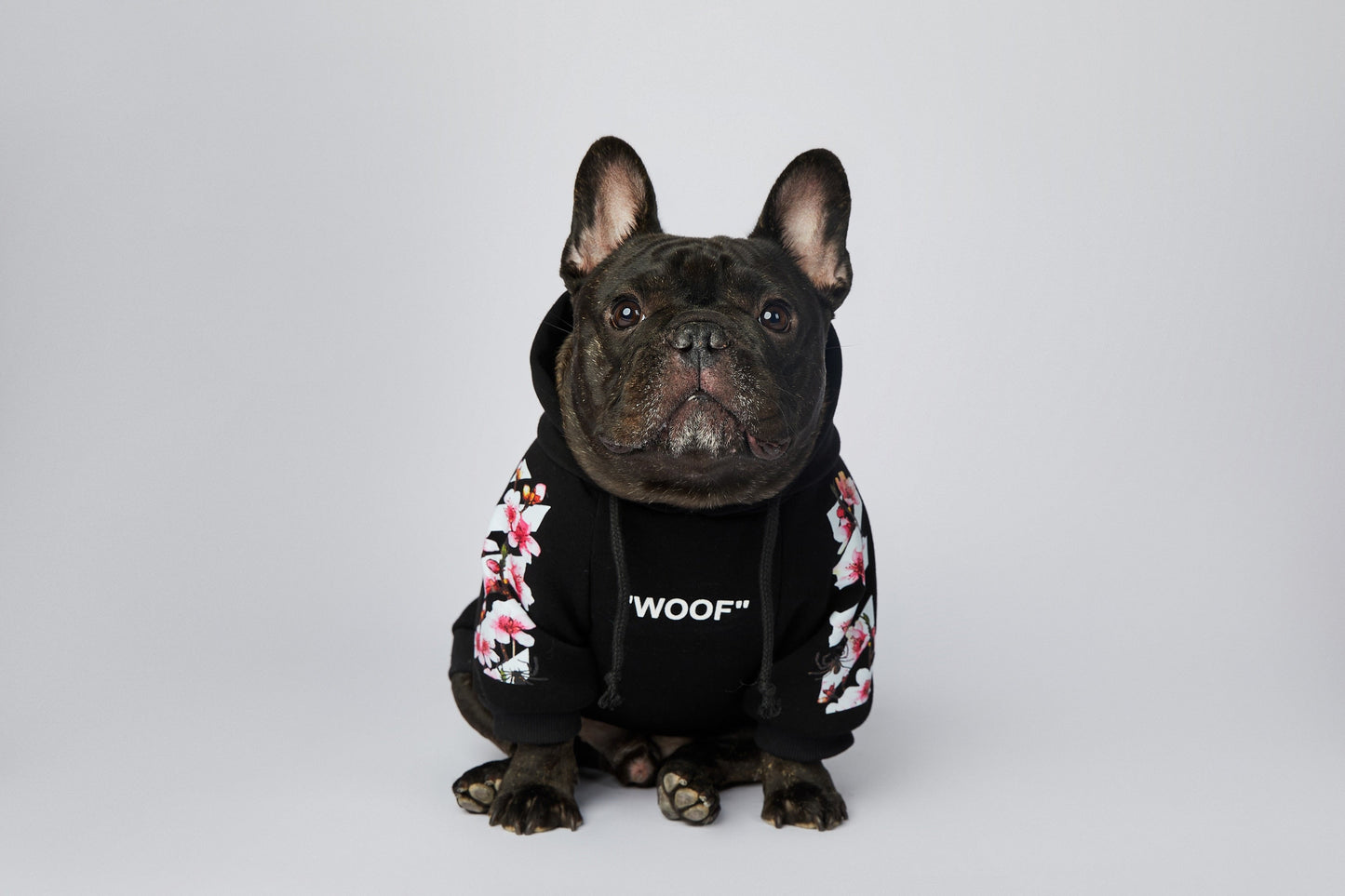 Warmer Luxus Hoodie - Sakura Design - The Masked Frenchie