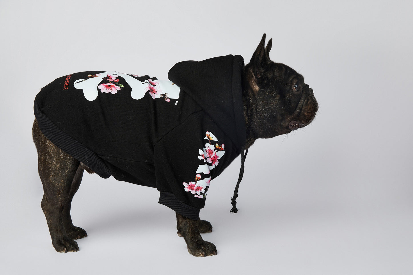 Warmer Luxus Hoodie - Sakura Design - The Masked Frenchie