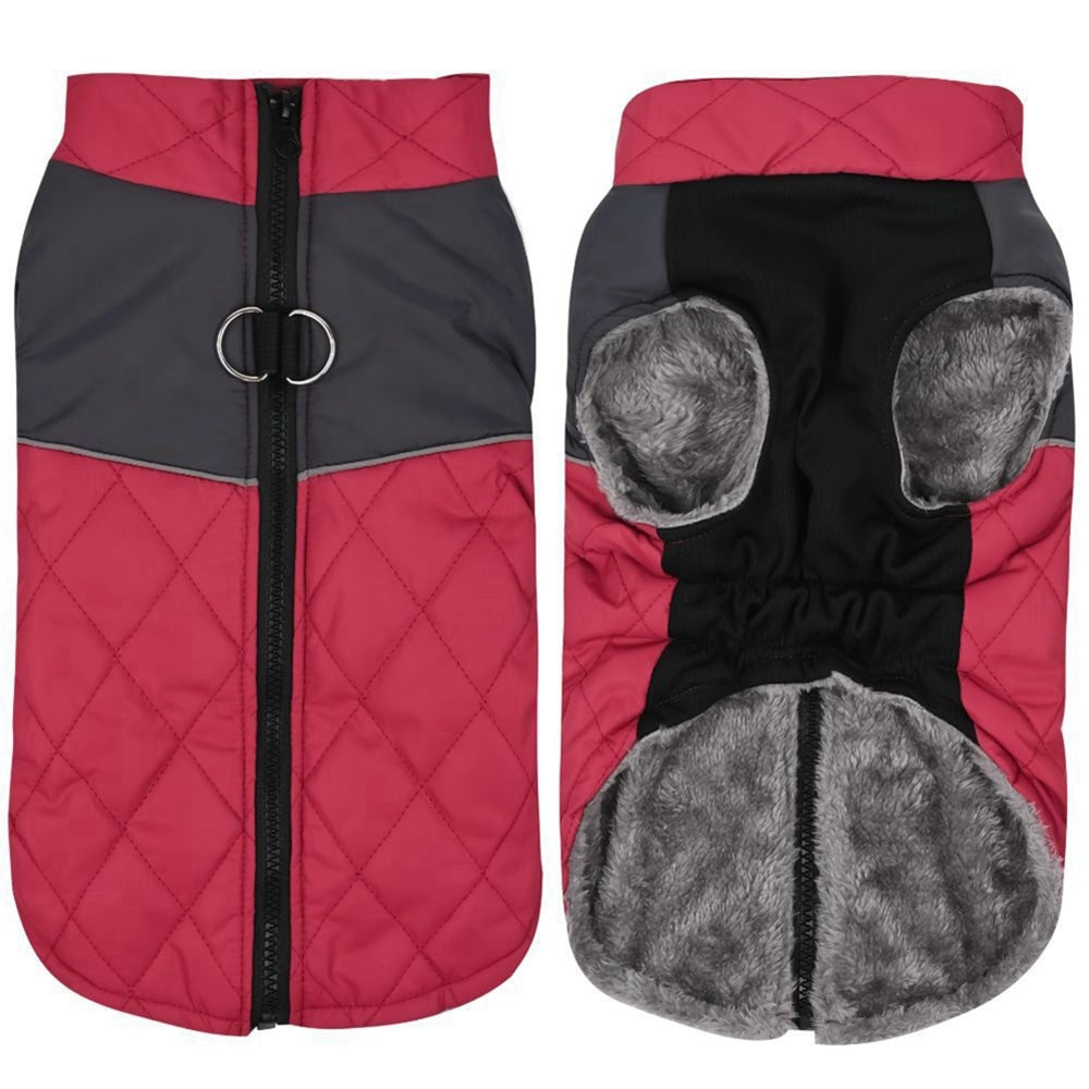 Wasserdichte gefütterte Winterjacke - The Masked Frenchie