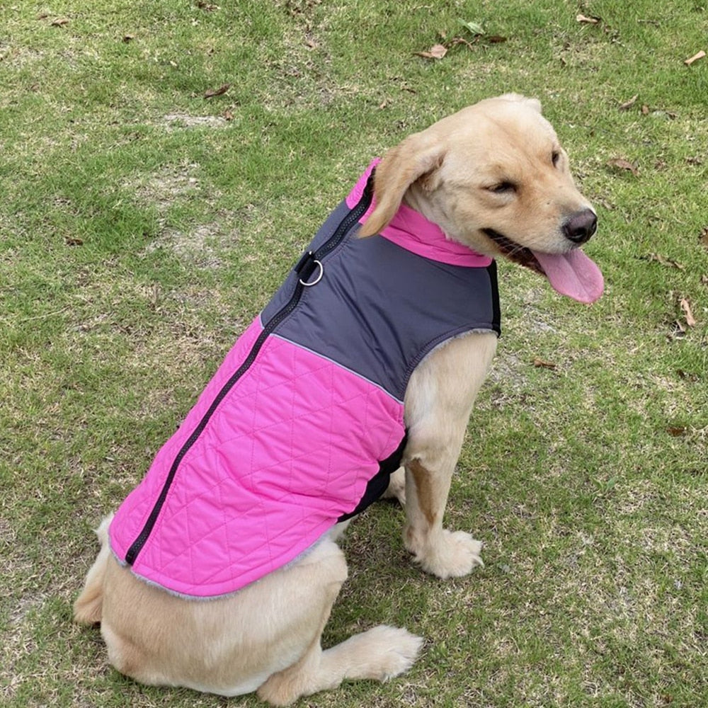 Wasserdichte gefütterte Winterjacke - The Masked Frenchie
