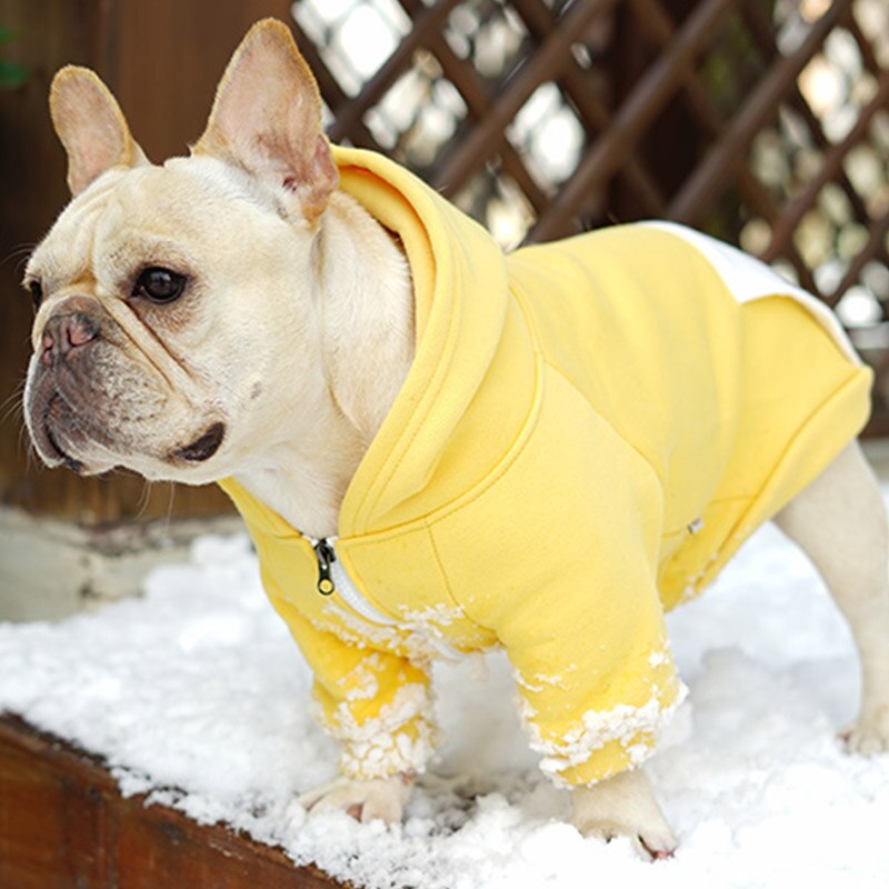 Winter Patchwork Hundejacke mit Reissverschluss - The Masked Frenchie