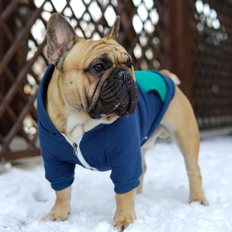 Winter Patchwork Hundejacke mit Reissverschluss - The Masked Frenchie
