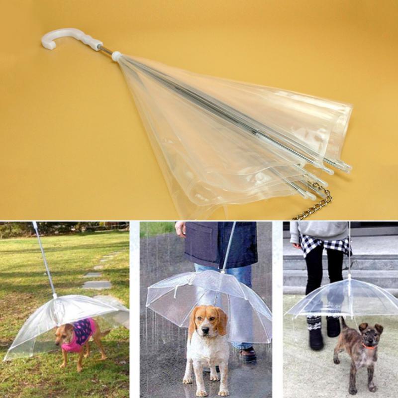 Durchsichtiger Regenschirm mit Hundeleine - The Masked Frenchie