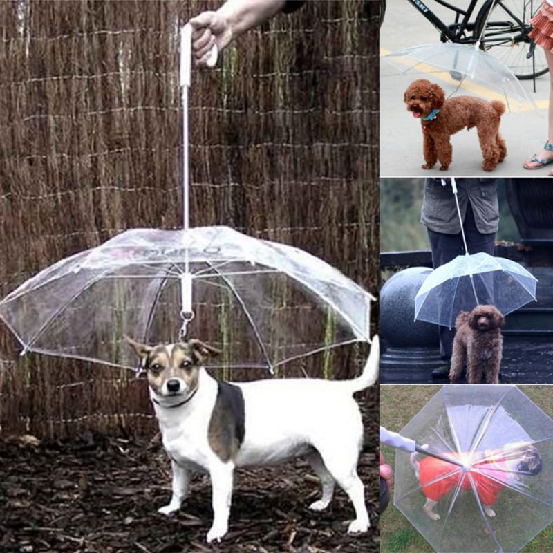 Durchsichtiger Regenschirm mit Hundeleine - The Masked Frenchie
