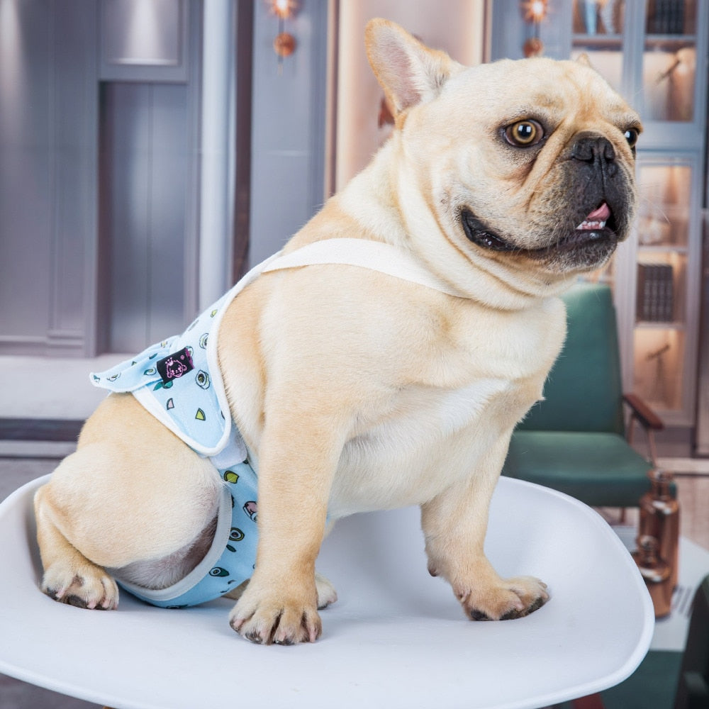 Windelanzug für die Hundedame - The Masked Frenchie