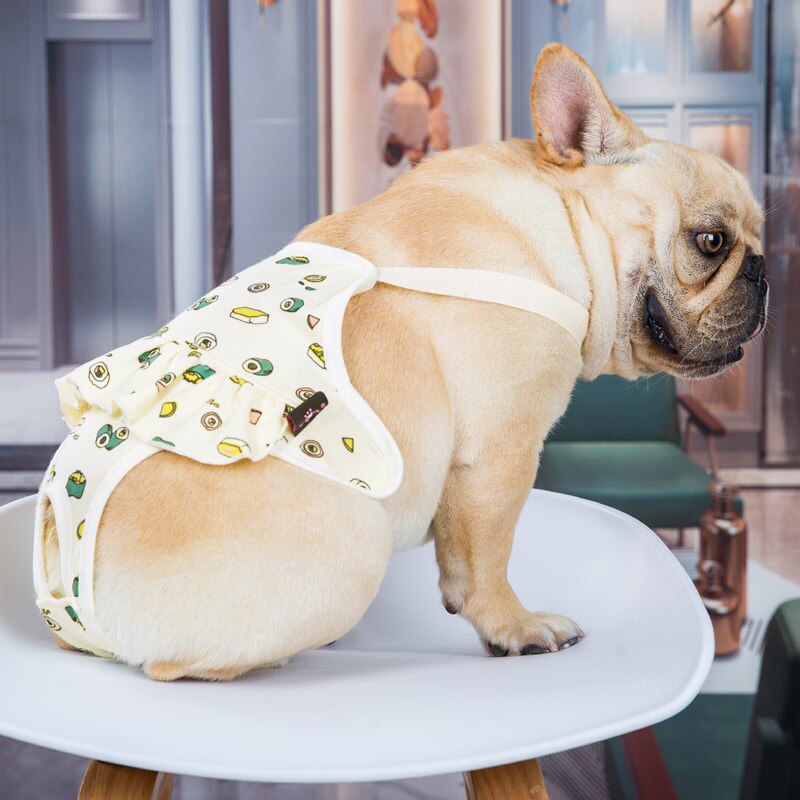 Windelanzug für die Hundedame - The Masked Frenchie