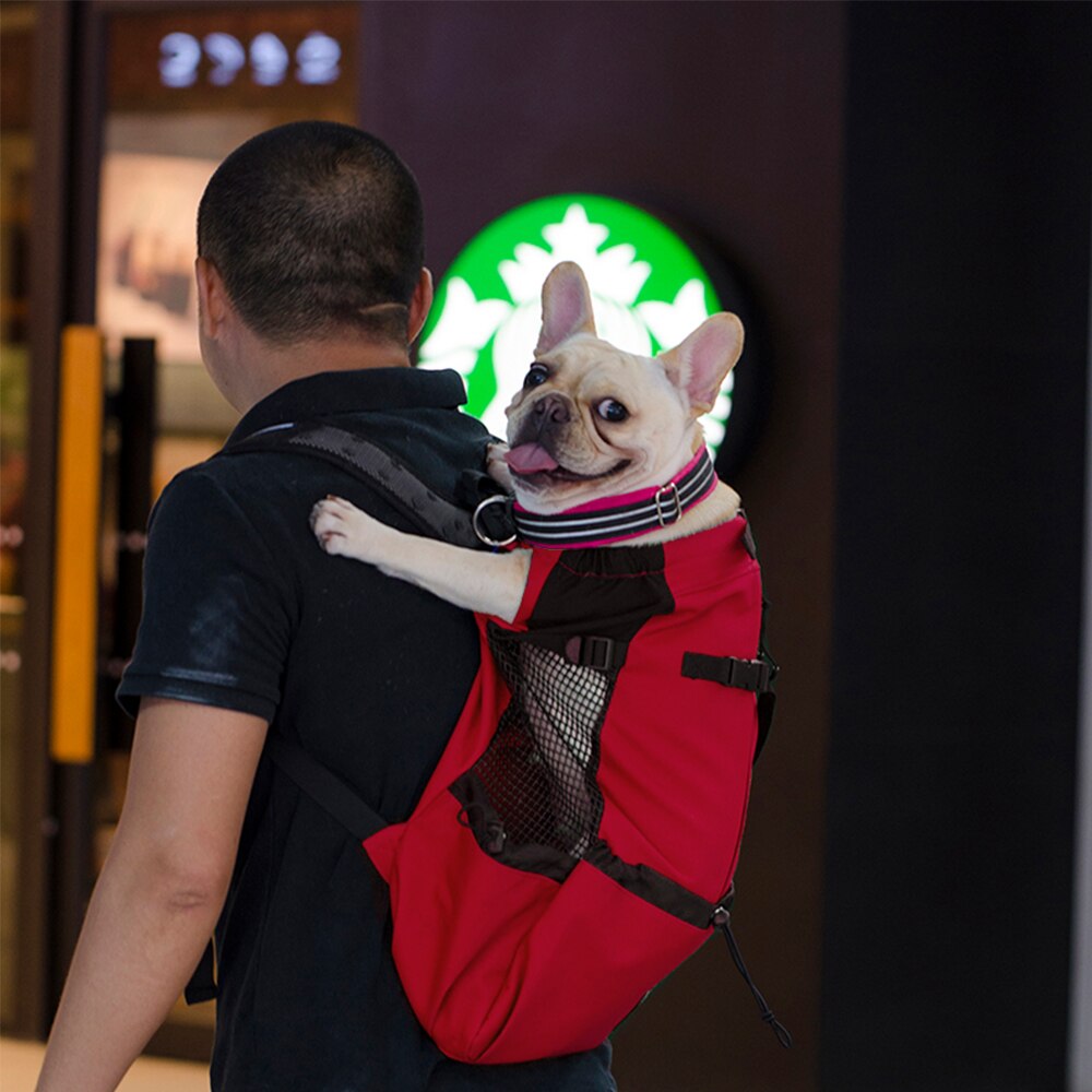 Hundetragetasche / Reiserucksack - The Masked Frenchie
