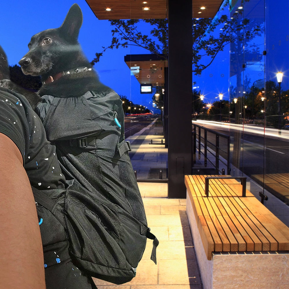 Hundetragetasche / Reiserucksack - The Masked Frenchie
