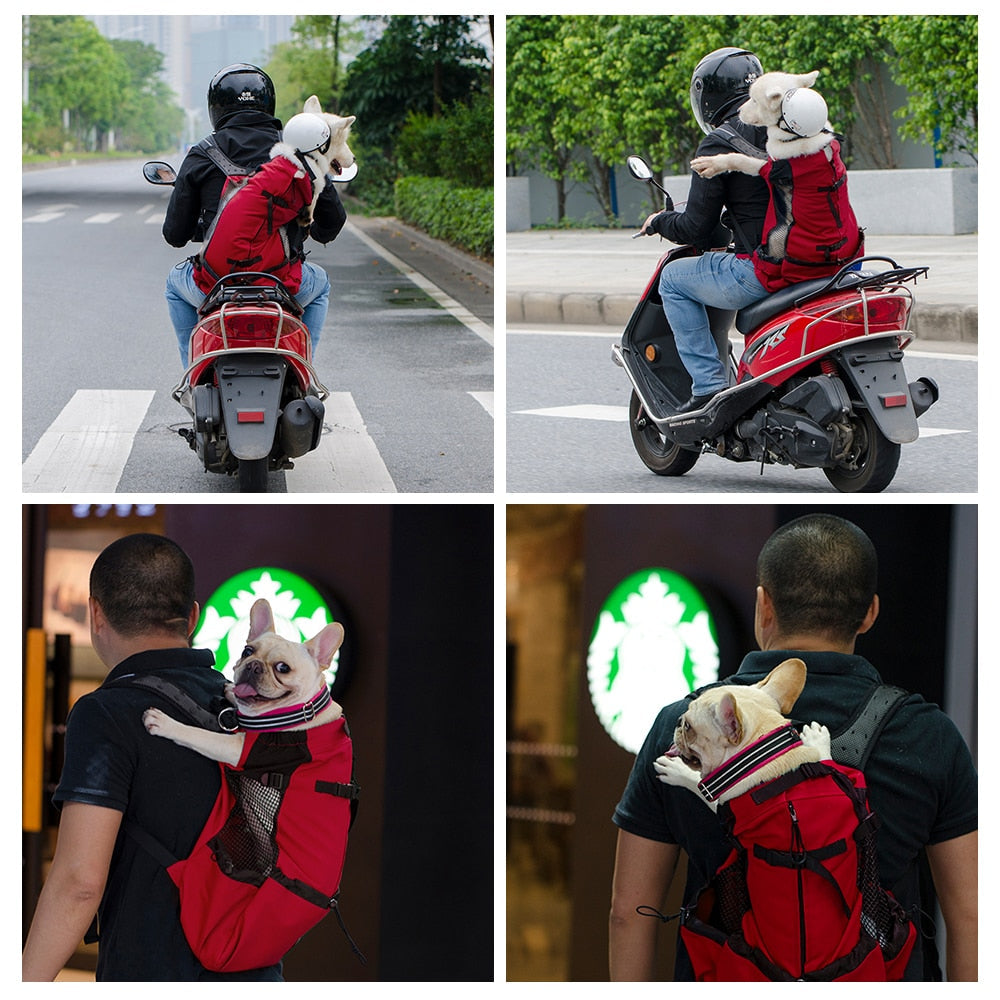Hundetragetasche / Reiserucksack - The Masked Frenchie