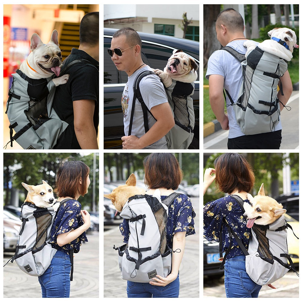 Hundetragetasche / Reiserucksack - The Masked Frenchie