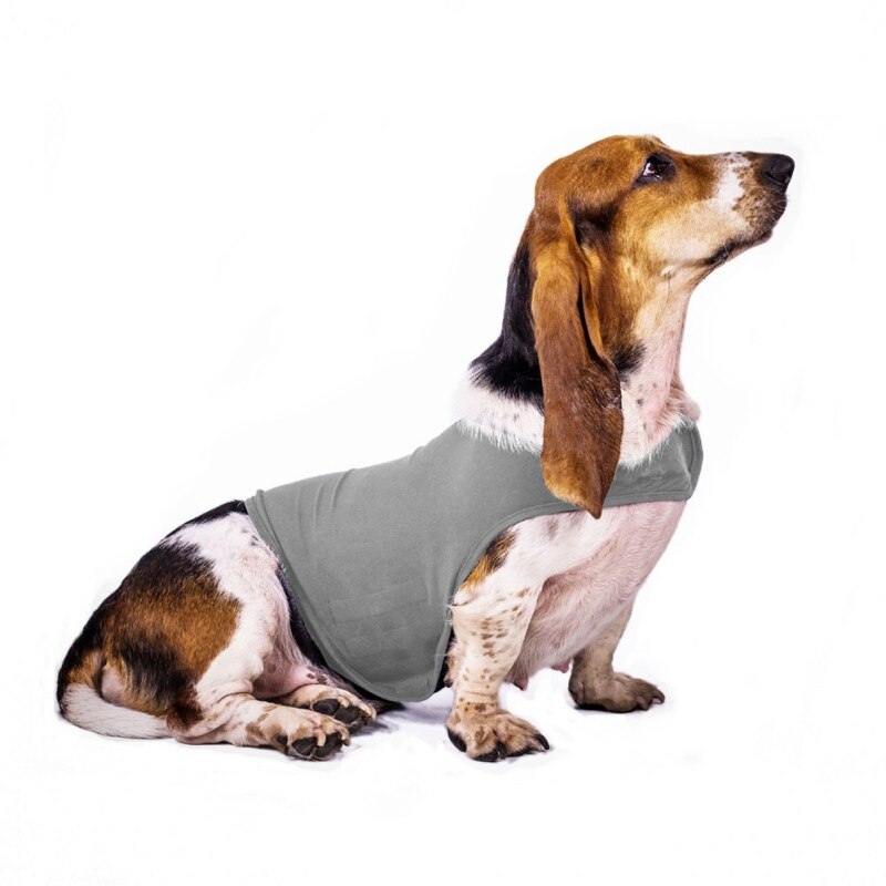 Anti-Angst Jacke (in Blau) - The Masked Frenchie