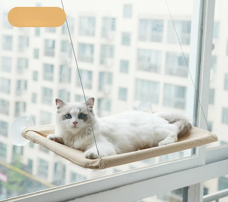 Hängendes Katzenbett – Bequeme Katzen-Hängematte für Fenster, Belastbar bis 20 kg