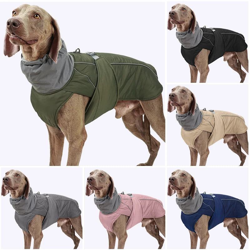 Winterjacke mit Taillengürtel für Hunde – Funktionalität trifft auf Stil