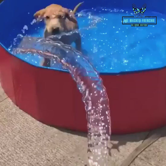 Tragbarer Hundepool 