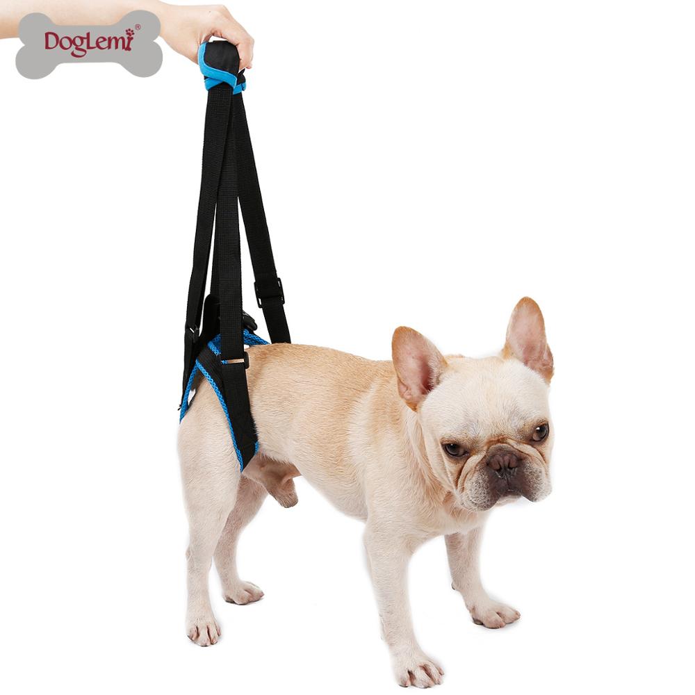 Hundeliftgeschirr für den Rücken - die Beste Pet-Stroller bei The Masked Frenchie - Nur €24.99!