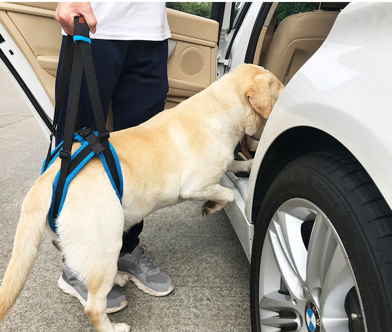 Hundeliftgeschirr für den Rücken - die Beste Pet-Stroller bei The Masked Frenchie - Nur €24.99!