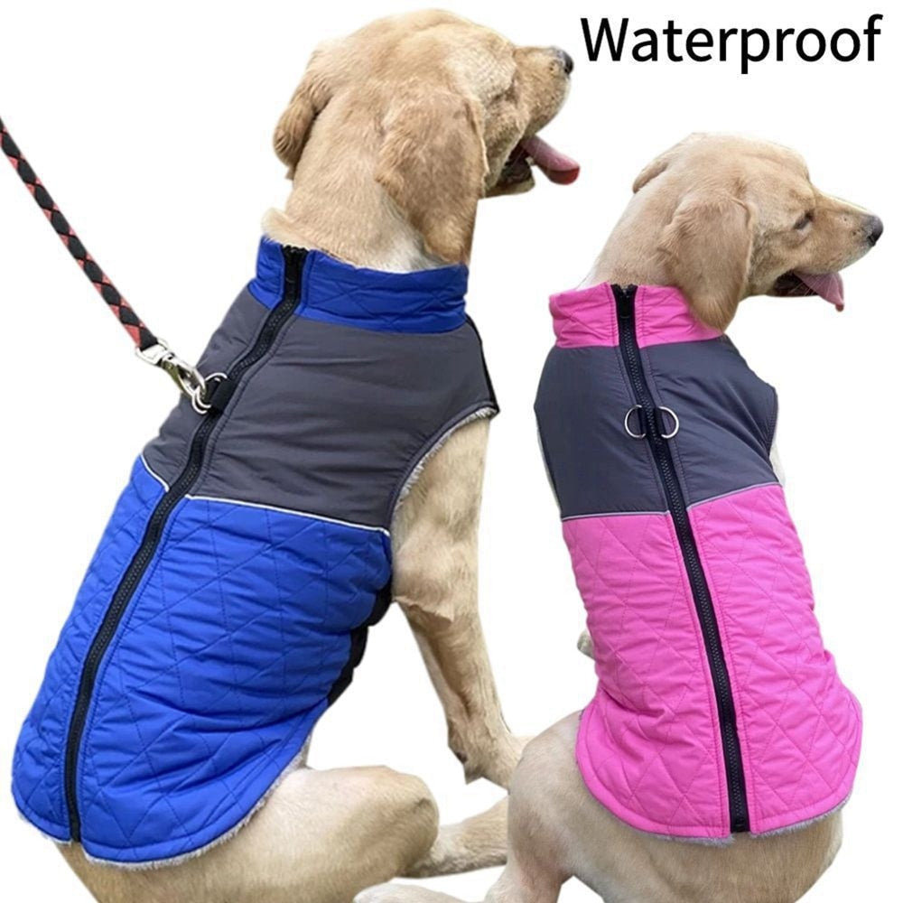 Wasserdichte gefütterte Winterjacke - die Beste  bei The Masked Frenchie - Nur €41.99!