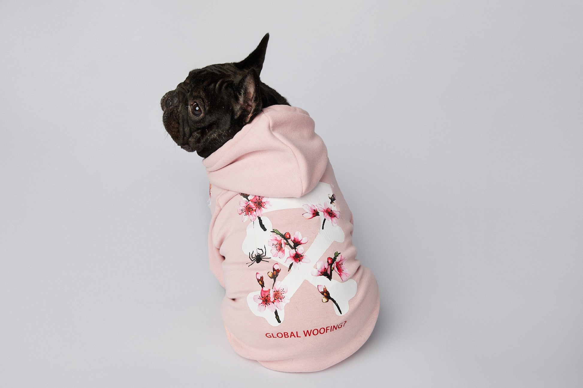 Warmer Luxus Hoodie - Sakura Design - die Beste  bei The Masked Frenchie - Nur €35.99!