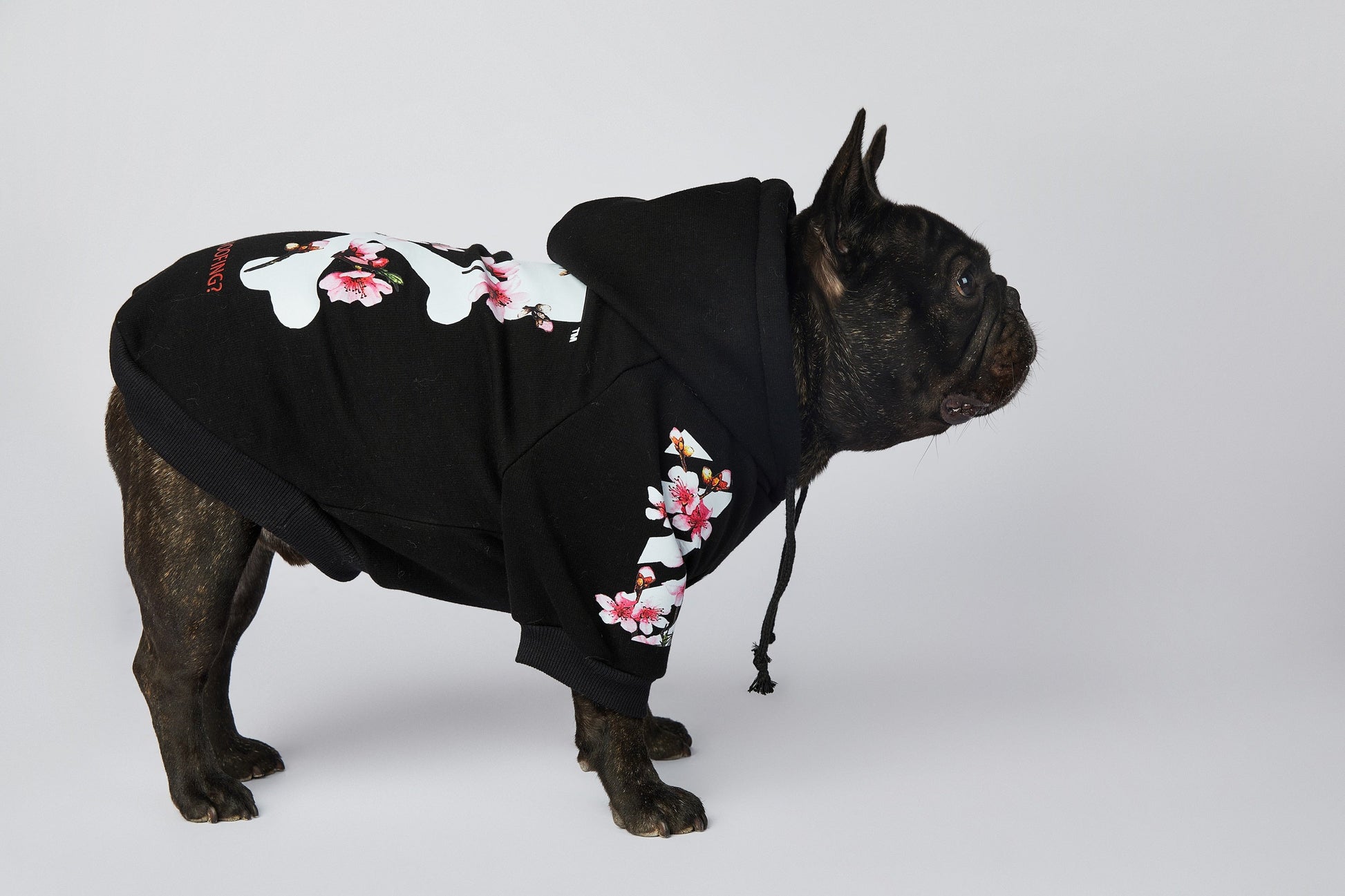 Warmer Luxus Hoodie - Sakura Design - die Beste  bei The Masked Frenchie - Nur €35.99!