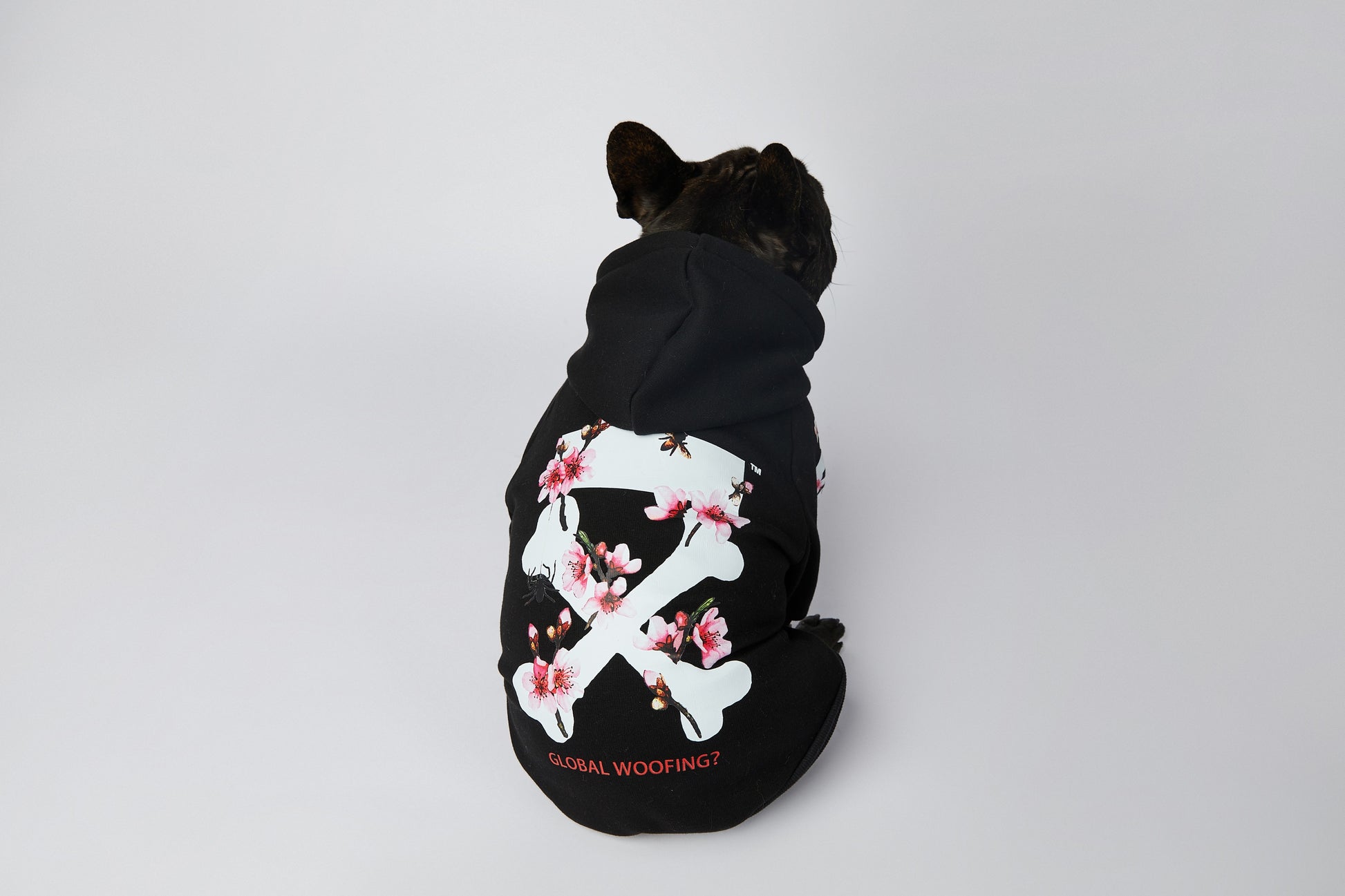 Warmer Luxus Hoodie - Sakura Design - die Beste  bei The Masked Frenchie - Nur €35.99!