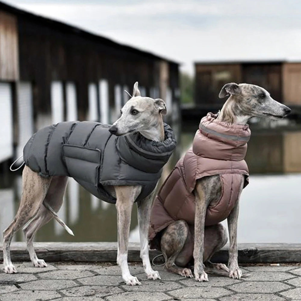 Gepolsterte Winterjacke für Hunde mit wasserdichtem und warmem Design - die Beste  bei The Masked Frenchie - Nur €29.60!