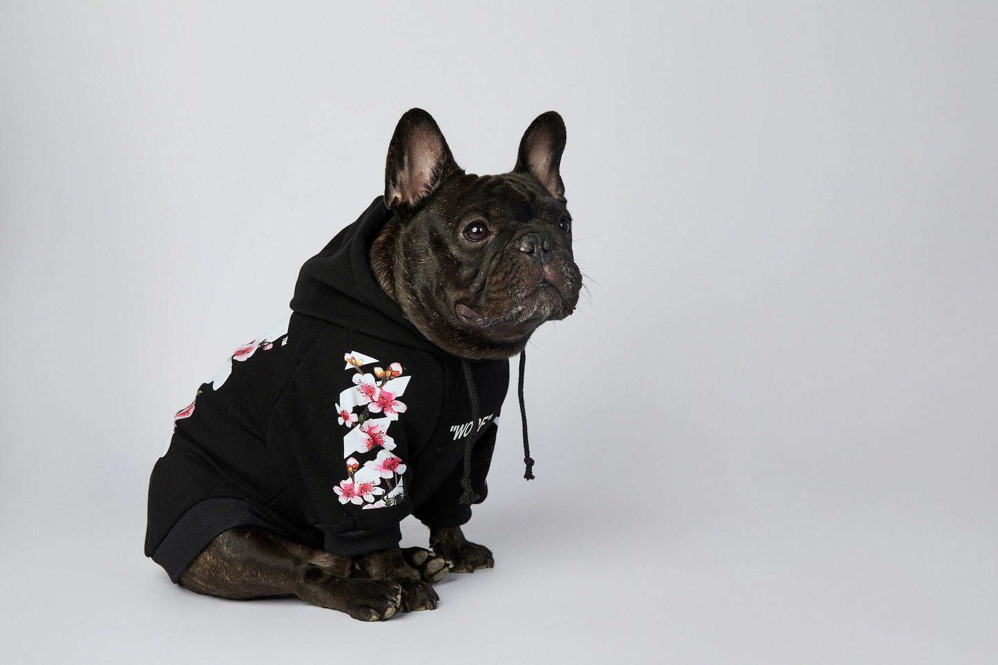 Warmer Luxus Hoodie - Sakura Design - die Beste  bei The Masked Frenchie - Nur €35.99!