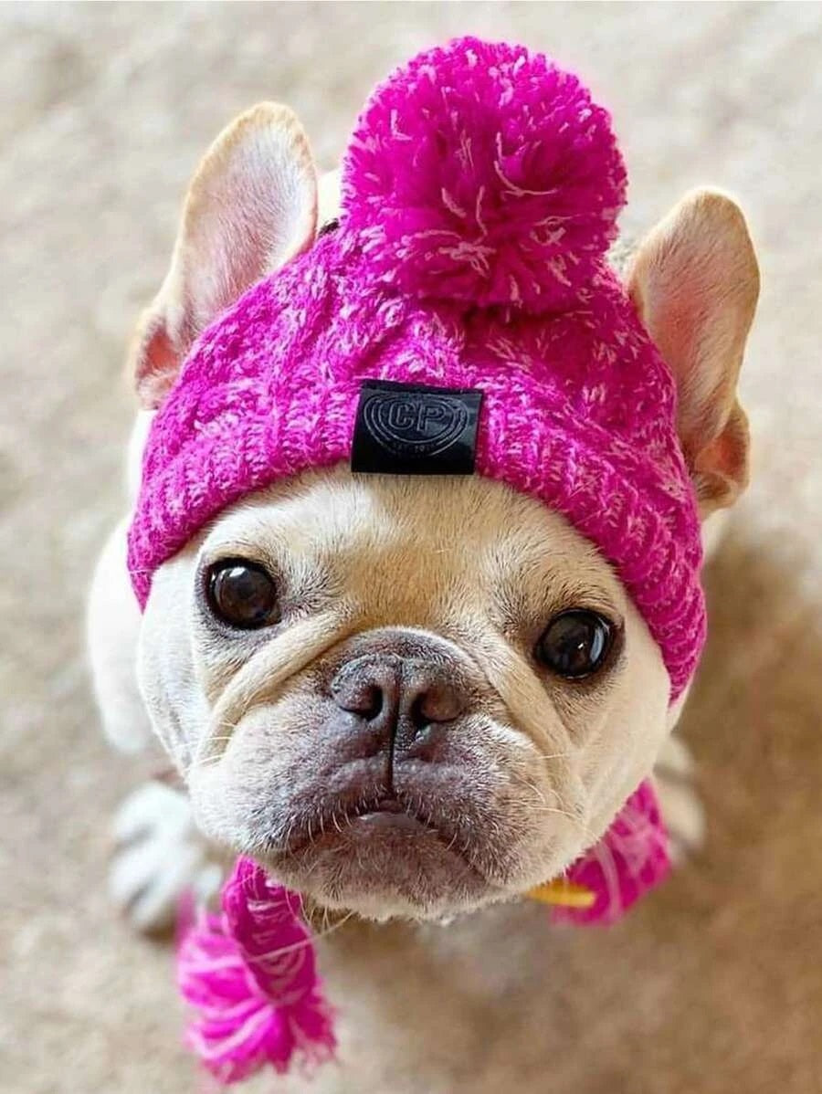 Warme Strickmütze - die Beste Hundebekleidung bei The Masked Frenchie - Nur €20.99!