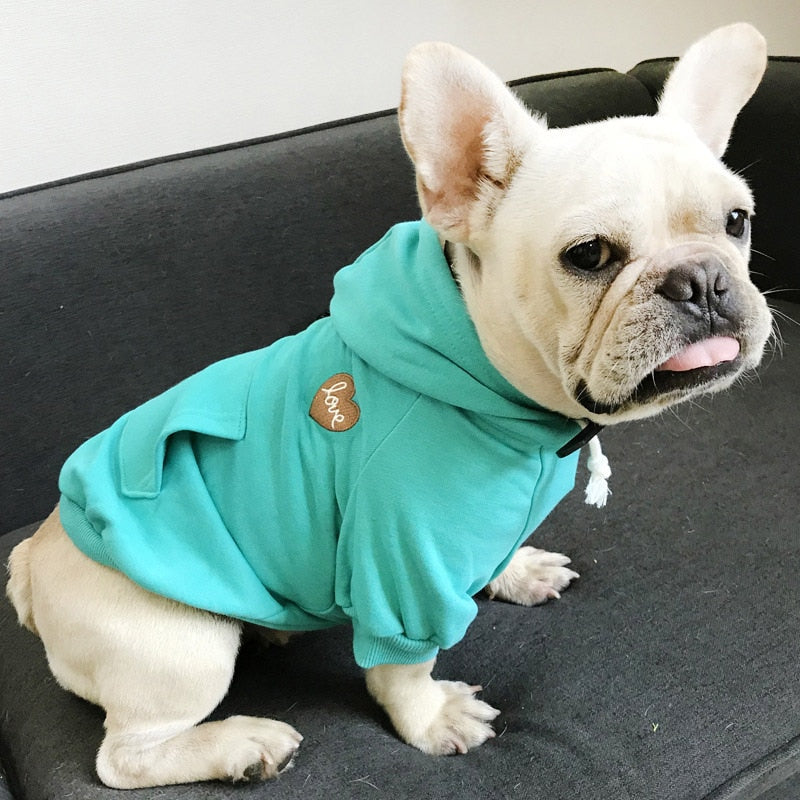 Partner Look! Kapuzenpulli in poppigen Farben - die Beste Hundebekleidung bei The Masked Frenchie - Nur €21.99!