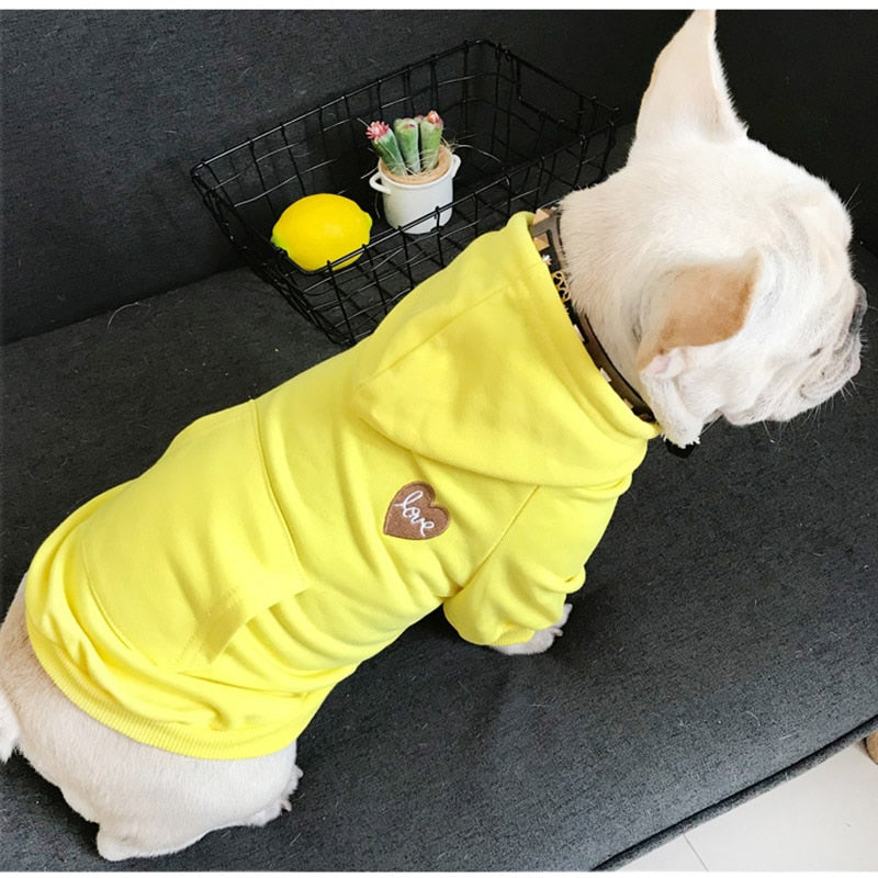 Partner Look! Kapuzenpulli in poppigen Farben - die Beste Hundebekleidung bei The Masked Frenchie - Nur €21.99!