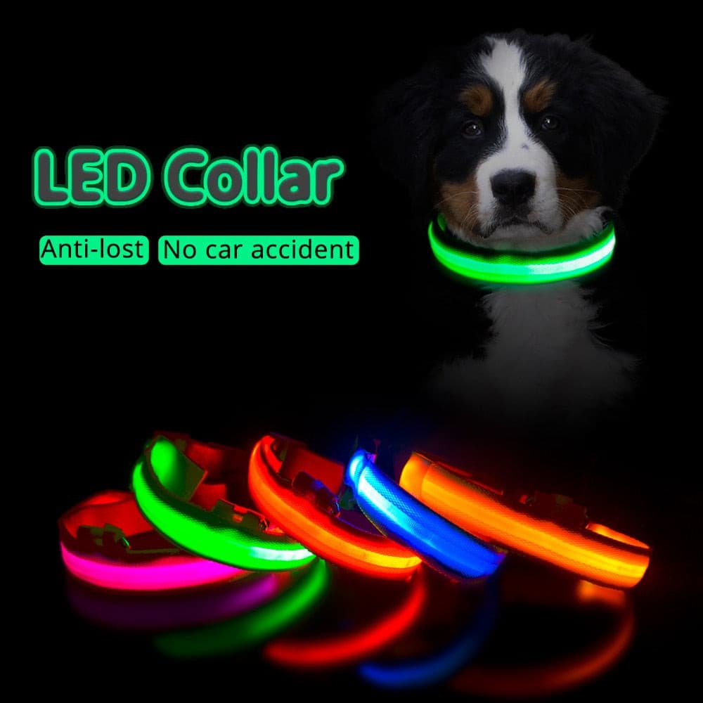 LED Hundehalsband mit USB - die Beste Halsbänder & Geschirre bei The Masked Frenchie - Nur €12.99!