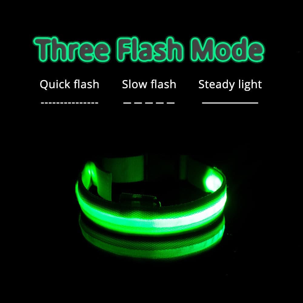 LED Hundehalsband mit USB - die Beste Halsbänder & Geschirre bei The Masked Frenchie - Nur €12.99!