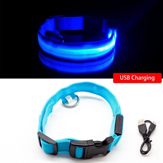 LED Hundehalsband mit USB - die Beste Halsbänder & Geschirre bei The Masked Frenchie - Nur €12.99!