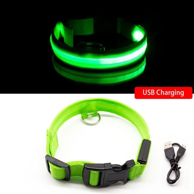 LED Hundehalsband mit USB - die Beste Halsbänder & Geschirre bei The Masked Frenchie - Nur €12.99!